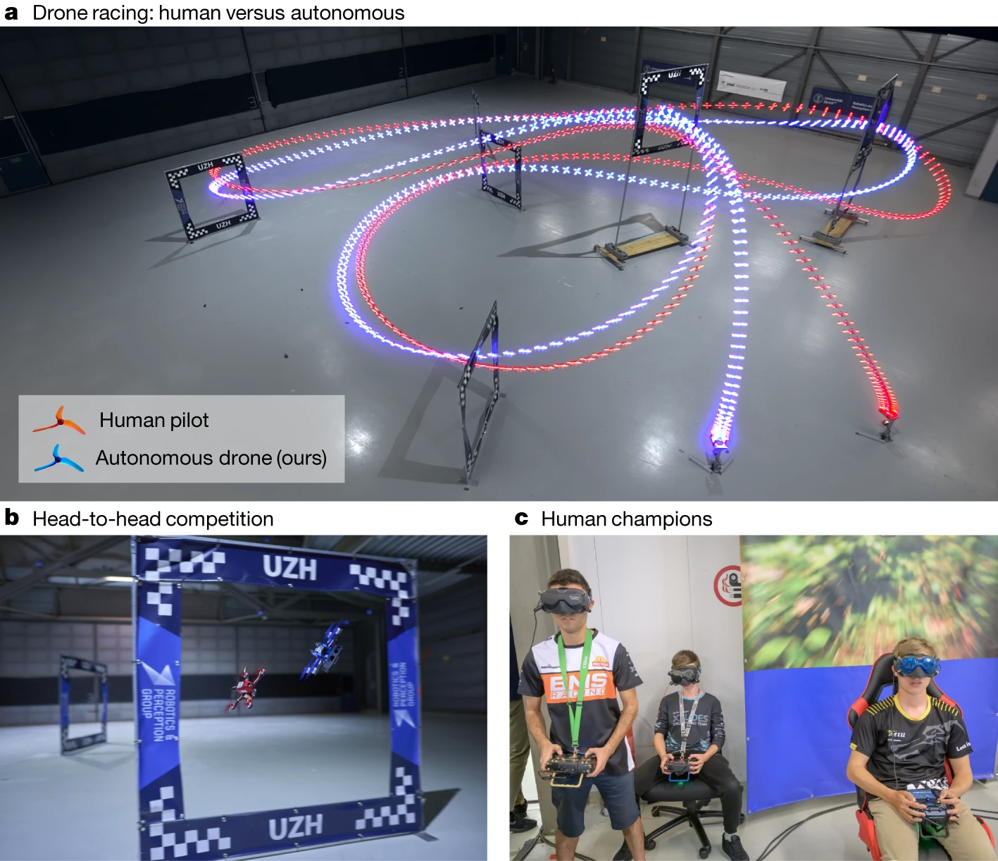 AI vs human race